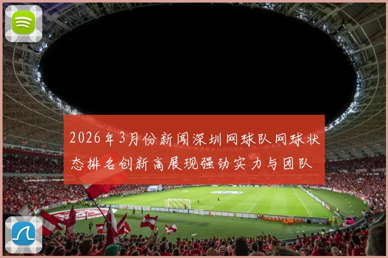 2026年3月份新闻深圳网球队网球状态排名创新高展现强劲实力与团队协作精神